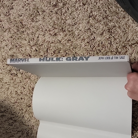 Hulk Gray Hardcover Book by Jeph Loeb and Tim Sale OUT OF PRINT - Picture 5 of 6